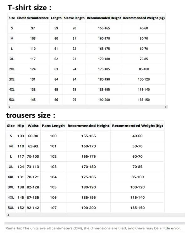 Women's Active Wear Set - Short Sleeve Tee & Athletic Pants Velvet Feel Sport Lounge